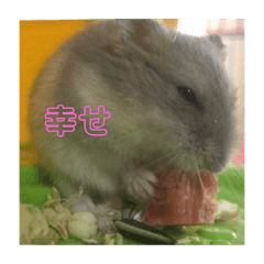 [LINEスタンプ] ふぇれはむず2
