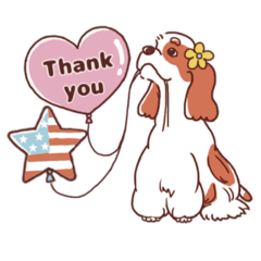 [LINEスタンプ] アメリカンコッカースパニエルが可愛い理由 