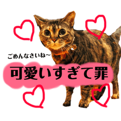 [LINEスタンプ] それいけ！まりんちゃん3 fetchpriority=high