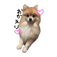 [LINEスタンプ] リッキースタンプ① fetchpriority=high