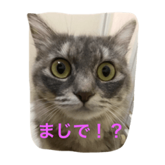 [LINEスタンプ] 鍼灸マッサージ治療院LifeBuddy イフちゃん 