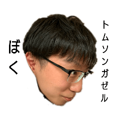 [LINEスタンプ] みんなのトムソンガゼル 