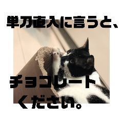 [LINEスタンプ] 雑種ねこ英世（ひでよ）の日常。冬編。