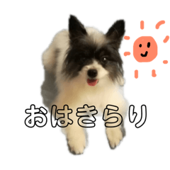 [LINEスタンプ] 犬とたまごなど！ fetchpriority=high