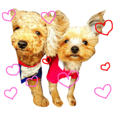 [LINEスタンプ] 犬スタンプ キュート 
