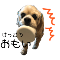 [LINEスタンプ] めるくんスタンプ最新