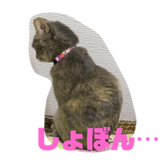 [LINEスタンプ] シャルロットの呟き ② 