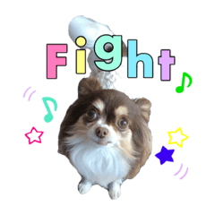 [LINEスタンプ] チワワのスーノちゃん・1 