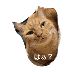 [LINEスタンプ] にゃろくろみ②