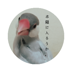 [LINEスタンプ] ことちゃん-種- 