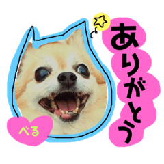 [LINEスタンプ] れんりこるい (べる) fetchpriority=high