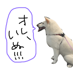[LINEスタンプ] 愛しのおわんちゃーん