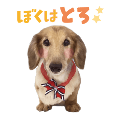 [LINEスタンプ] ぼくはとろ★ 
