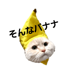 [LINEスタンプ] マイケル＆トム 