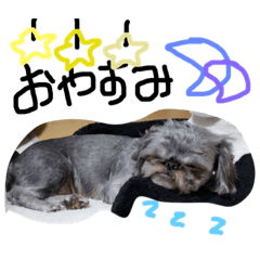 [LINEスタンプ] 可愛い小人たち 