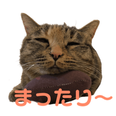 ありすとはやて