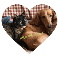 [LINEスタンプ] 田辺さんちシリーズ1 