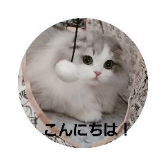 [LINEスタンプ] ノルの気持ちを丁寧語で 