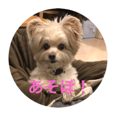 [LINEスタンプ] ぱんちゃん② 