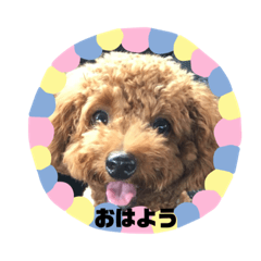 [LINEスタンプ] ティアラちん 