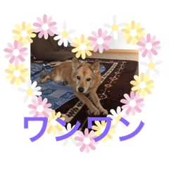 [LINEスタンプ] ヘタヘタスタンプ 