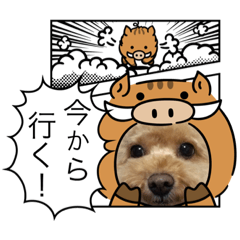 [LINEスタンプ] わんこの集い