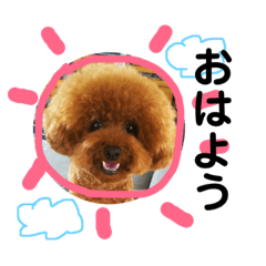 [LINEスタンプ] きいちゃんの毎日 