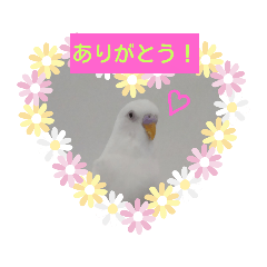 [LINEスタンプ] チロの感情 