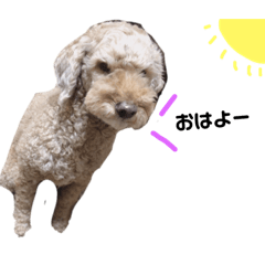 [LINEスタンプ] わんわんリボん 