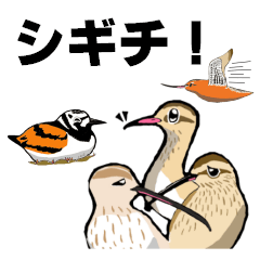 [LINEスタンプ] シギチスタンプ