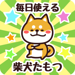 [LINEスタンプ] 毎日使える！柴犬たもつ