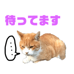 [LINEスタンプ] ルミオ 