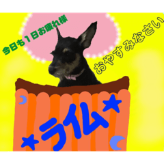 [LINEスタンプ] 来夢の一日