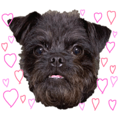 [LINEスタンプ] 具志堅もちたか 