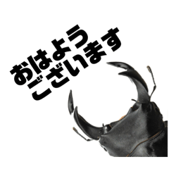 [LINEスタンプ] クワガタスタンプその1 fetchpriority=high