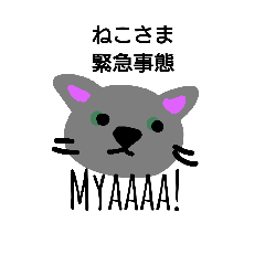 [LINEスタンプ] 毎日ハプニング。そんなねこさまdays！