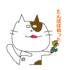 [LINEスタンプ] かまって欲しいねこの画像（メイン）