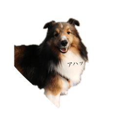 [LINEスタンプ] ランディウル 