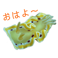 [LINEスタンプ] ウミウシ
