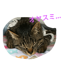 [LINEスタンプ] ウーちゃんとゆかいな仲間たち2 
