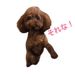 [LINEスタンプ] lucky bell 