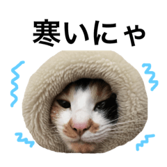[LINEスタンプ] 森のゾゾさんです。 