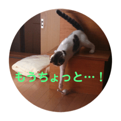 [LINEスタンプ] ミニィスタンプ