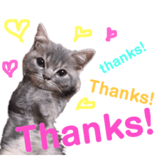 [LINEスタンプ] ウォルくんのゴキゲンないちにち