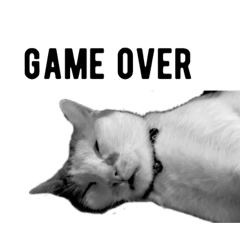 [LINEスタンプ] ぷにくら 