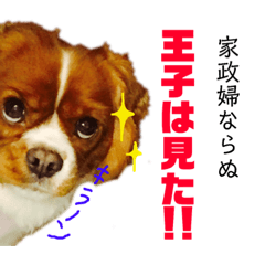 [LINEスタンプ] 王子とまう(キャバリア)のスタンプ❷ 