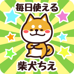 [LINEスタンプ] 毎日使える！柴犬ちえ