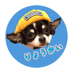 [LINEスタンプ] ぺこみちよ 
