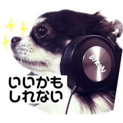 [LINEスタンプ] ロン師匠とビビのスタンプ