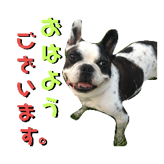 [LINEスタンプ] フレブル チェリーさんの画像（メイン）